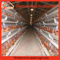 Fully automatic chicken egg layer cage poultry cages in Kenya Zambia farms